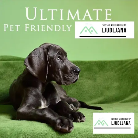 度假居 Fairytale Wooden House By Ljubljana 格罗素普捷
