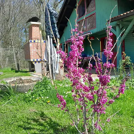 Fairytale Wooden House By Ljubljana