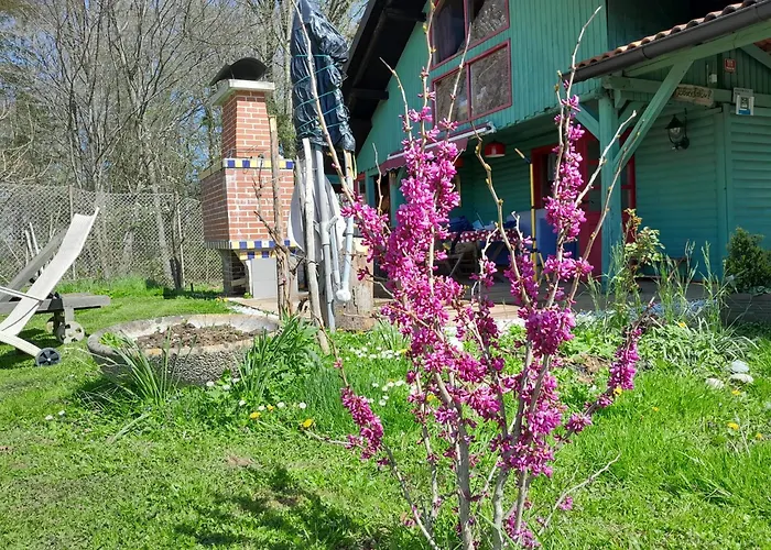 Fairytale Wooden House By Ljubljana