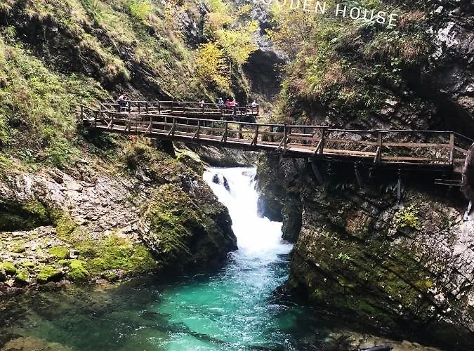 Fairytale Wooden House By Ljubljana